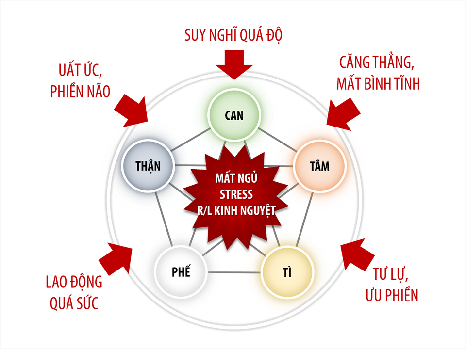 Nguyên nhân gây Stress & Mất ngủ theo quan điểm Đông Y