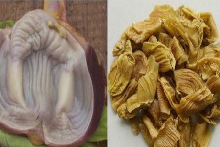Đa số người Việt vứt đi bộ phận quý hơn đông trùng hạ thảo khi mổ gà