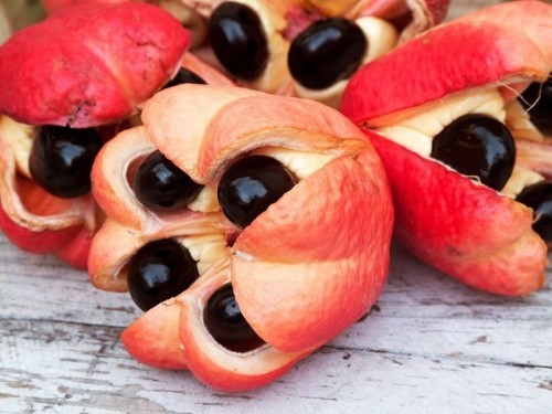 Top 10 loại trái cây quý hiếm và giàu dinh dưỡng nổi tiếng khắp thế giới 10