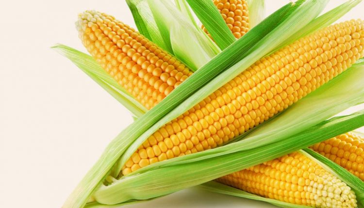 16-Best-Benefits-Of-Corn-For-Skin-Hair-And-Health