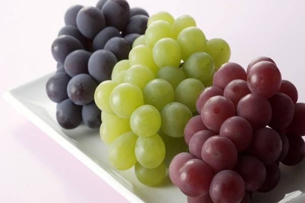 Cách làm 10 món sinh tố trái cây bỗ dưỡng giúp da trắng hồng, uống vào là xinh 3