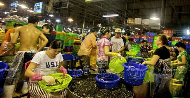 Top 10 chợ cung cấp hàng hóa nông sản nổi tiếng tại Việt Nam 1
