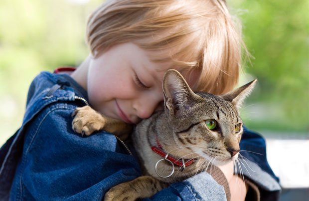 Top 10 lợi ích tuyệt vời từ việc nuôi mèo bạn nên biết 8