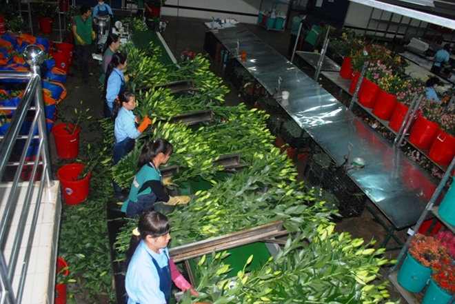 Top 10 chợ cung cấp hàng hóa nông sản nổi tiếng tại Việt Nam 10