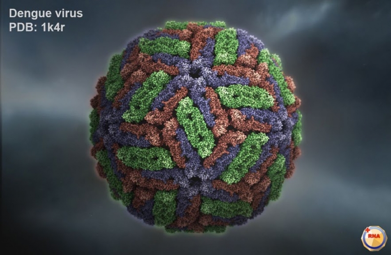 Top 10 loại virus gây bệnh nguy hiểm nhất hiện nay mà bạn cần biết 10
