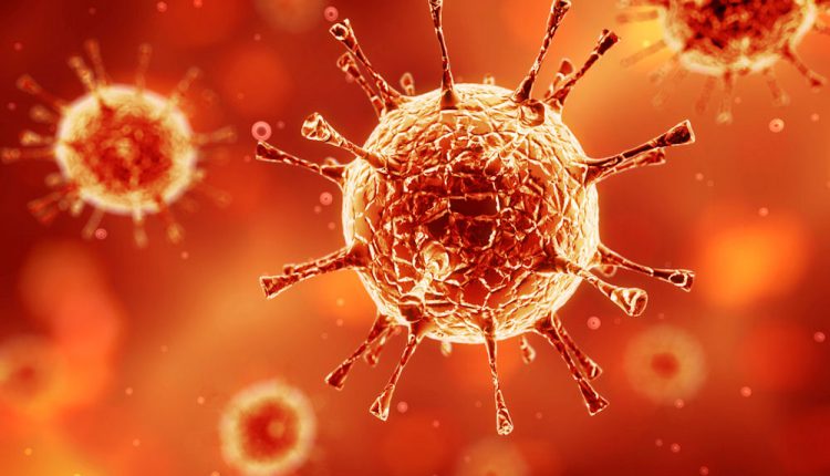 Top 10 loại virus gây bệnh nguy hiểm nhất hiện nay mà bạn cần biết 9