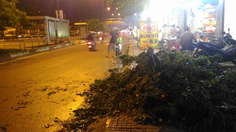 Người Sài Gòn khiếp vía vì cây đổ cửa bay trong mưa to kèm gió giật 345423